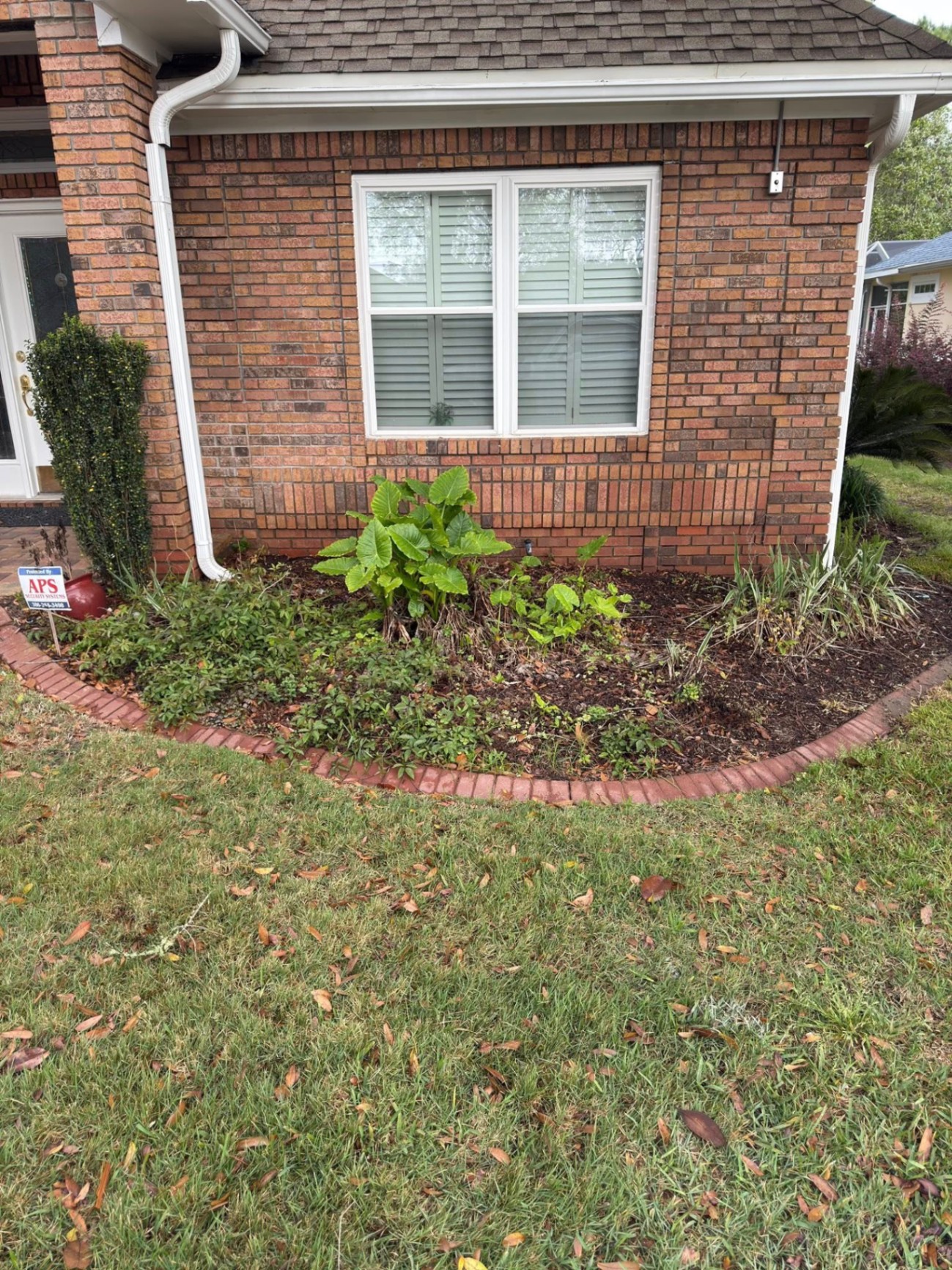 Foundation Garden Refresh — before