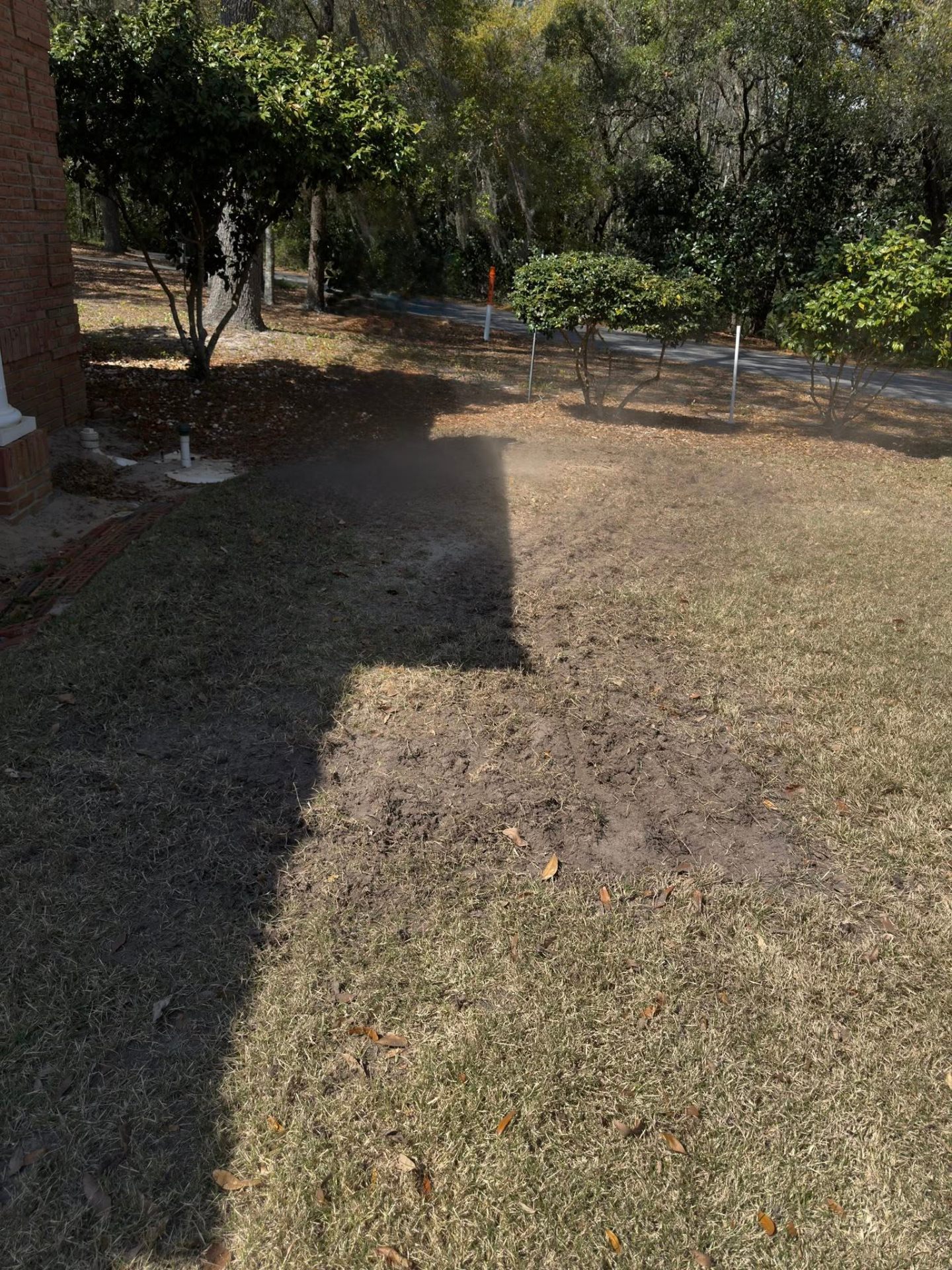 Lawn Restoration & Sod — before