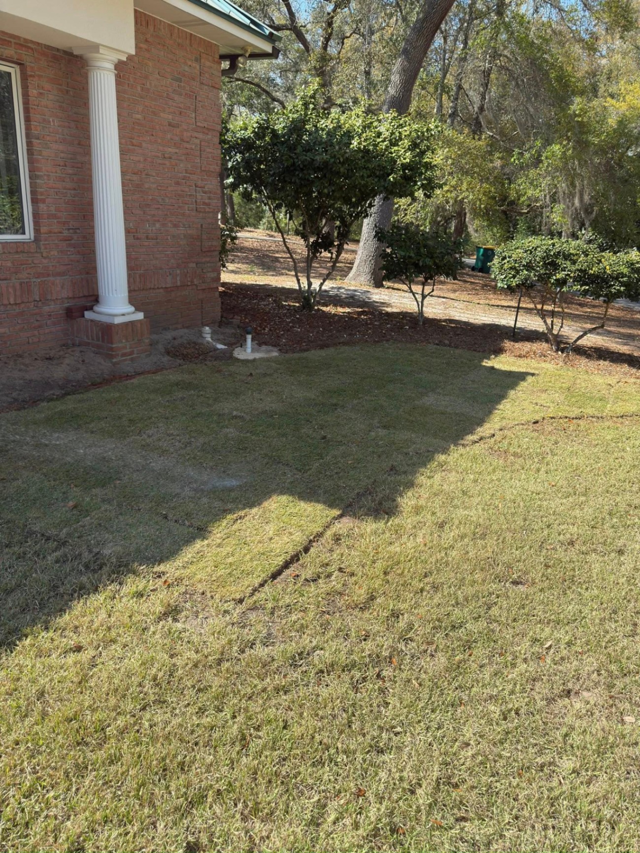 Lawn Restoration & Sod — after professional landscaping