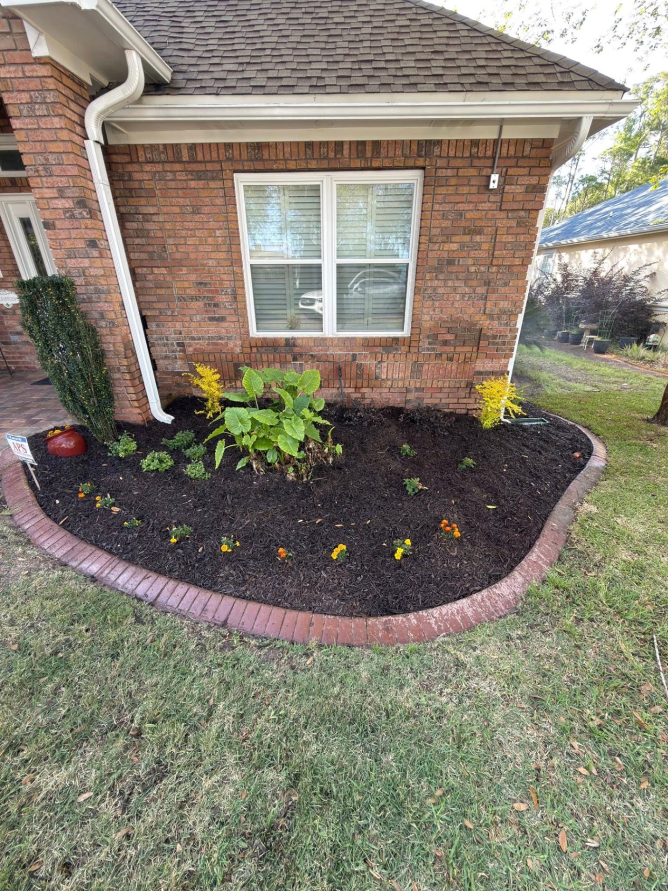 Foundation Garden Refresh — after professional landscaping