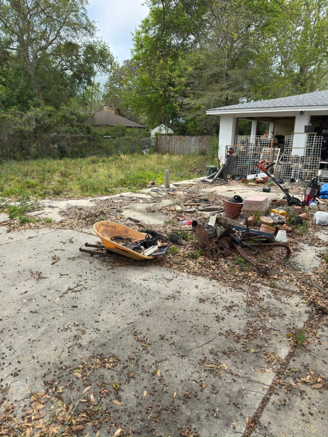 Property Cleanup & Haul-Off — before